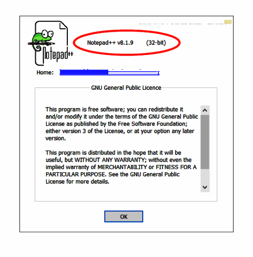 关于Notepad++窗口截图，顶部明显标注版本号信息
