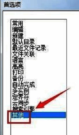 Notepad++首选项页面中的其他栏目位置展示