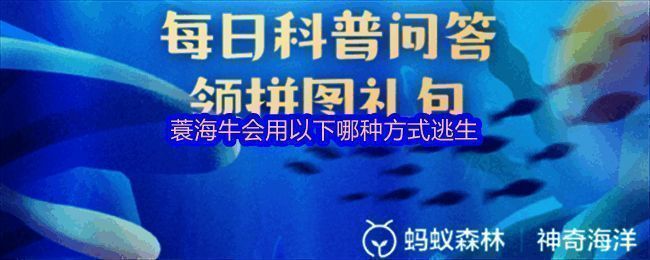 神奇海洋答题界面截图，显示最新题目与选项