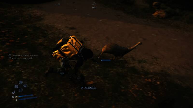 多种澳洲特色动物齐聚一堂，生态细节丰富