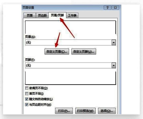 页眉输入界面示意图，展示输入光标位置