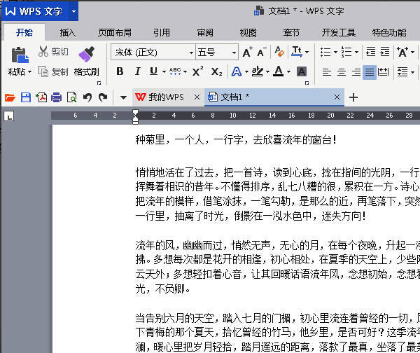 WPS文档界面展示，光标位于正文区域