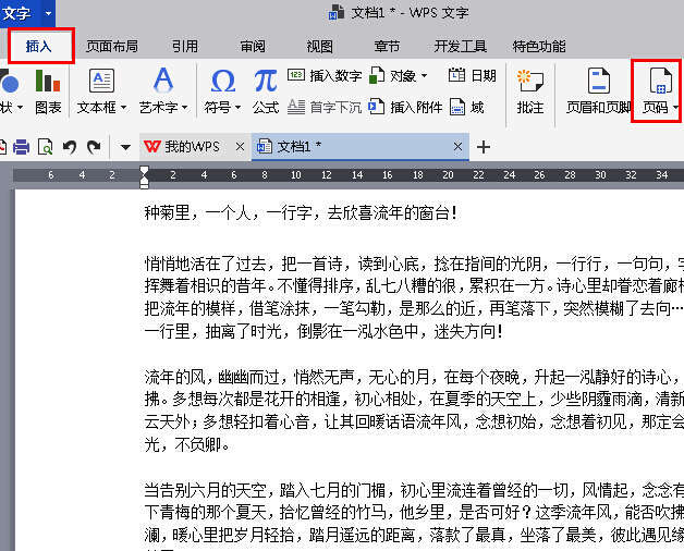 页码设置窗口展开，多个页码样式可供选择