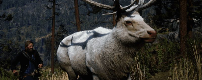 《荒野大镖客2》中传说麋鹿在地图上的大致位置标识