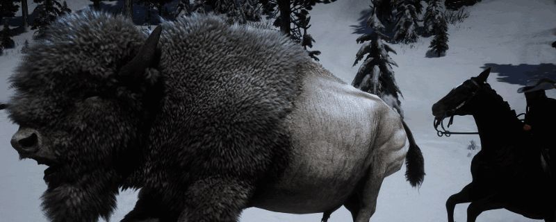 荒野大镖客2游戏画面，白野牛出现在湖边森林环境中