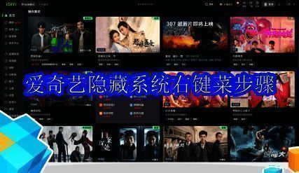 爱奇艺万能播放器主界面展示，界面简洁直观