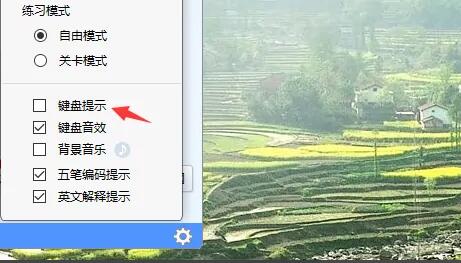 键盘提示功能设置页面截图，展示相关选项内容