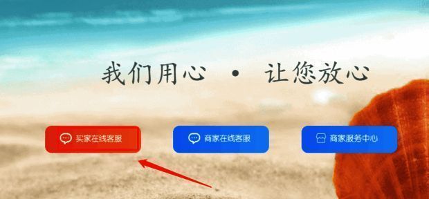 在线客服咨询界面截图，显示买家与卖家不同服务通道