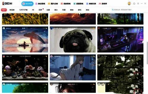 动态壁纸成功应用后的桌面效果展示，画面流畅动感十足