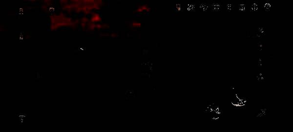 若虫依附在树根旁，旁边有一只昔涟