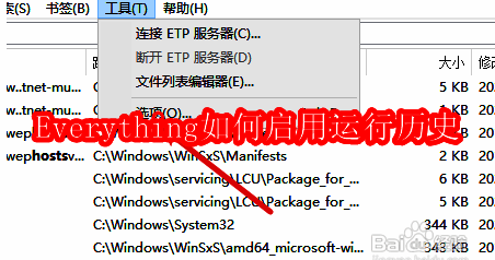 Everything软件主界面展示，顶部工具菜单清晰可见