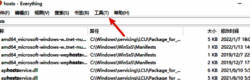 Everything软件主界面，顶部工具菜单被高亮显示