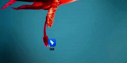 钉钉群聊界面展示，功能栏中钉钉脑图按钮被高亮标识