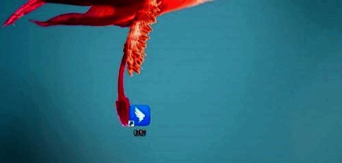 钉钉电脑客户端登录界面，输入账号密码后点击登录按钮