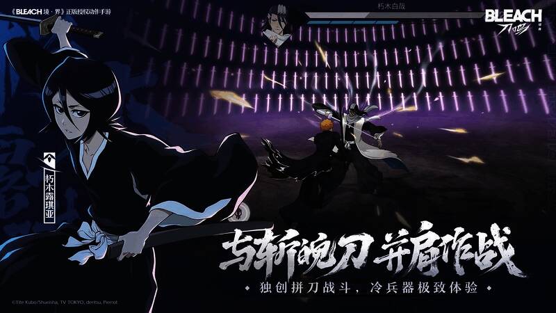 主角释放卍解技能，周身环绕强大灵压，气势磅礴