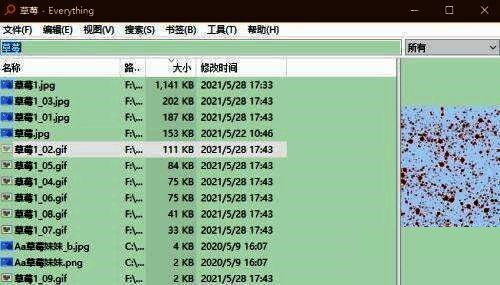 Everything软件顶部导航栏中的“工具”按钮被高亮显示