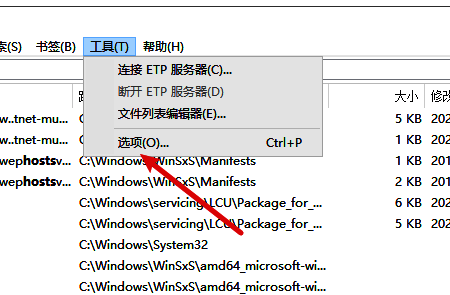 设置页面左侧导航区域特写，首页选项被高亮显示