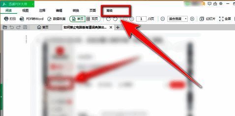 迅读PDF大师高级菜单中水印按钮被选中的界面