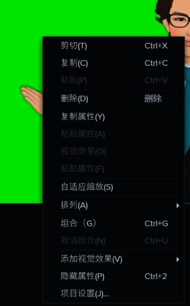 项目设置菜单选项展示