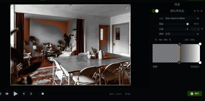 视频监视器中实时显示滤镜调整后的效果变化，便于进一步优化