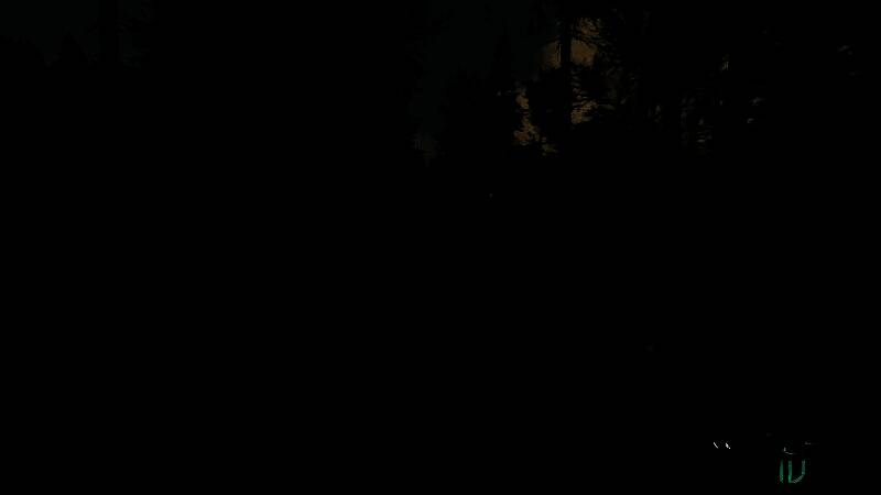 《巫师4》野外探险场景，光影效果逼真自然