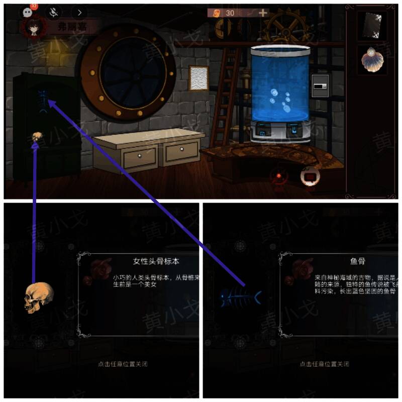 玩家在绿色柜子中拾取鱼骨和女性头骨标本