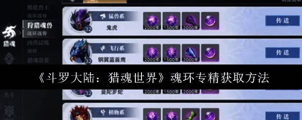 玩家在诺丁城试炼场与魂兽激烈战斗的场景，角色释放技能攻击魂兽