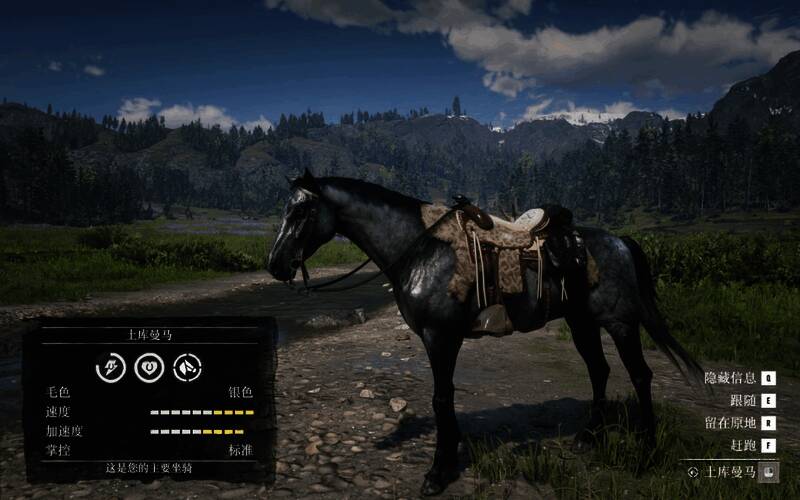 银色土库曼马静静站立于马厩中，毛发泛着光泽，眼神坚定