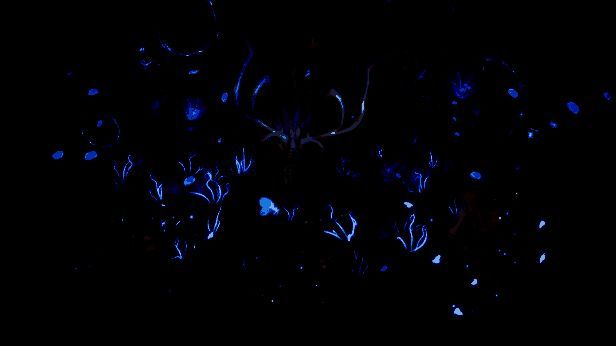 主角与伙伴们围坐在篝火旁讨论航行路线，气氛轻松而温馨