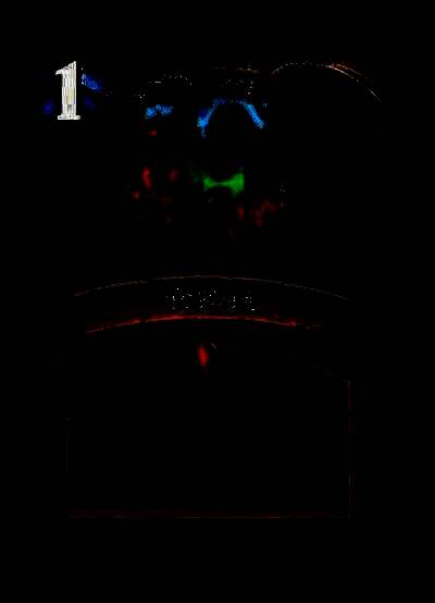 法师始祖龟在环形山深处挖掘泰坦遗物，背景为古老遗迹