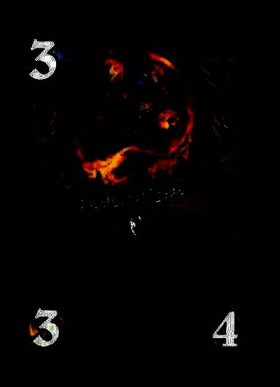 盗贼任务卡插画，展示隐甲龟小队在暗影中执行侦察任务的画面