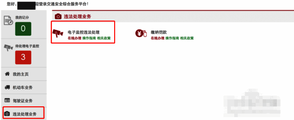 电子监控违法处理页面截图，显示车辆列表及违法记录汇总