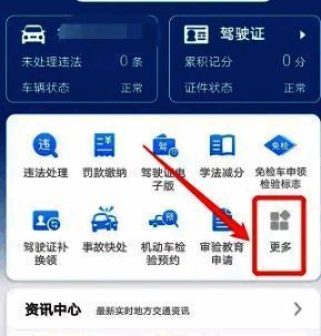 交管12123软件更多功能页面，机动车业务清晰可见