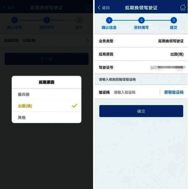 填写延期原因并接收验证码的界面截图，展示完整操作流程