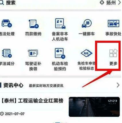 交管12123更多功能页面截图，明确显示年检相关选项位置