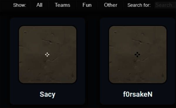 准星代码输入界面截图，展示代码粘贴区域