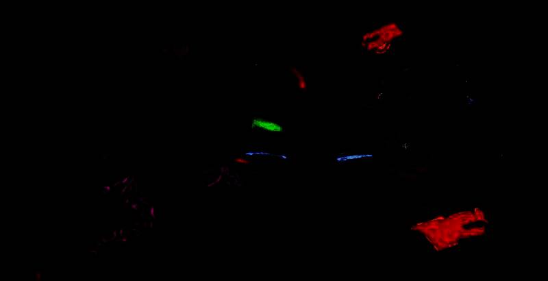 《无主之地4》游戏封面展示，四位秘藏猎人角色并肩而立，背景是充满科幻风格的星球世界