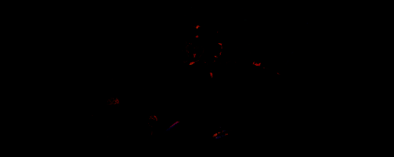 游戏主视觉图，展示主角亚历珊德拉与骰子福宝在神秘世界中对峙的场景