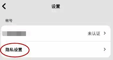 设置界面展示，包含多个功能模块如账号、通知、隐私等