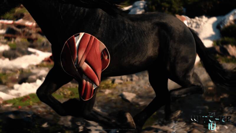 城市边缘地带，希里骑乘凯尔比缓缓进入人群，NPC互动自然生动