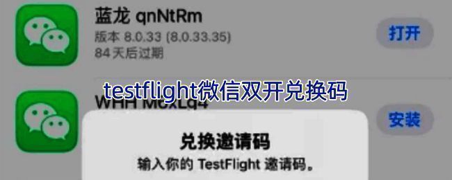 TestFlight界面展示，显示微信双开测试应用图标