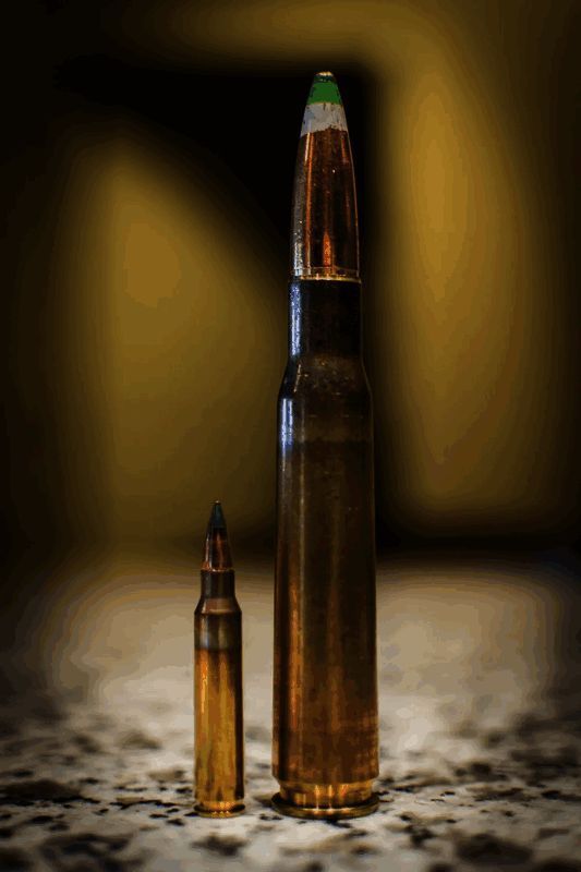 .50 BMG口径子弹与普通5.56mm子弹尺寸对比图，凸显前者体积与威力优势