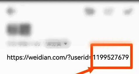 微店ID账号信息显示示例