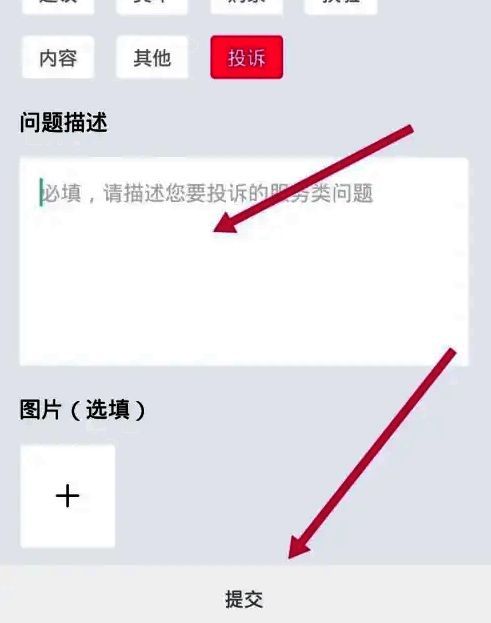 大麦投诉提交成功提示界面，显示“已提交，请耐心等待”字样
