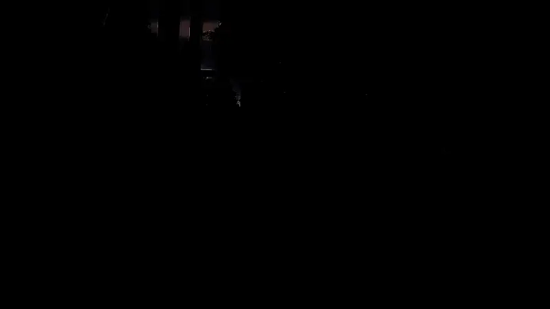 角色手持武器面对巨型昆虫，紧张氛围跃然眼前