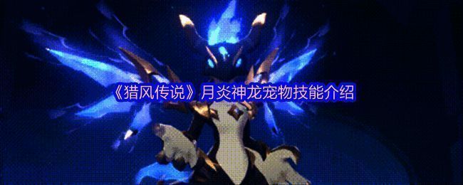 神级宠物幻梦圣女技能展示界面，背景为魔法阵与光影特效