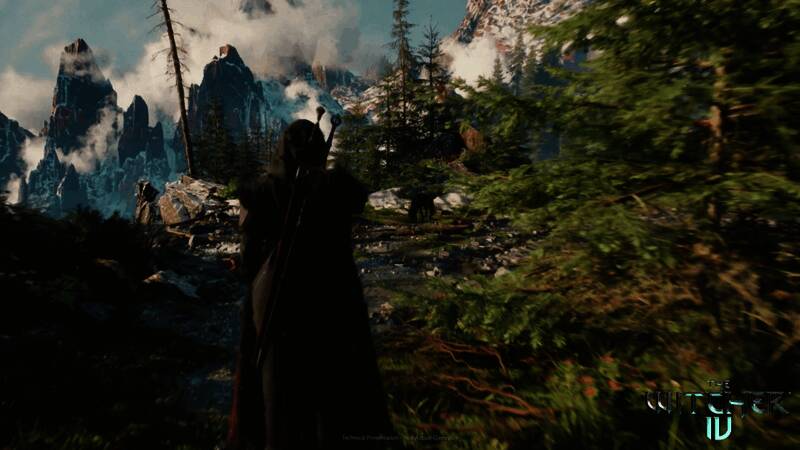 凯尔比在林间奔驰，肌肉线条清晰可见，动作自然流畅