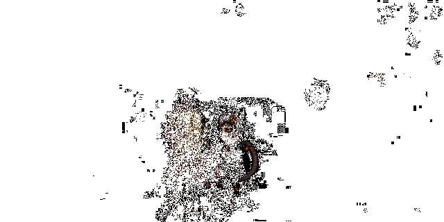 捏脸动作细节展示，角色表情生动可爱