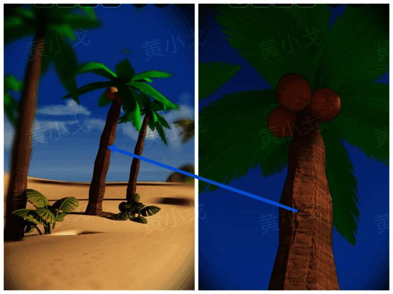 椰子从树上掉落瞬间的动态捕捉