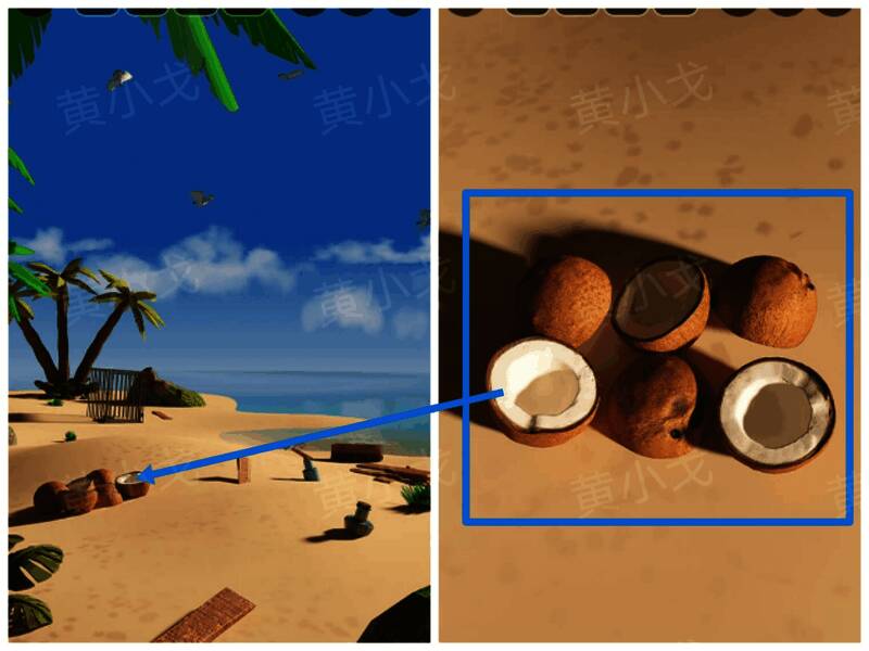 椰子颜色排列规则特写